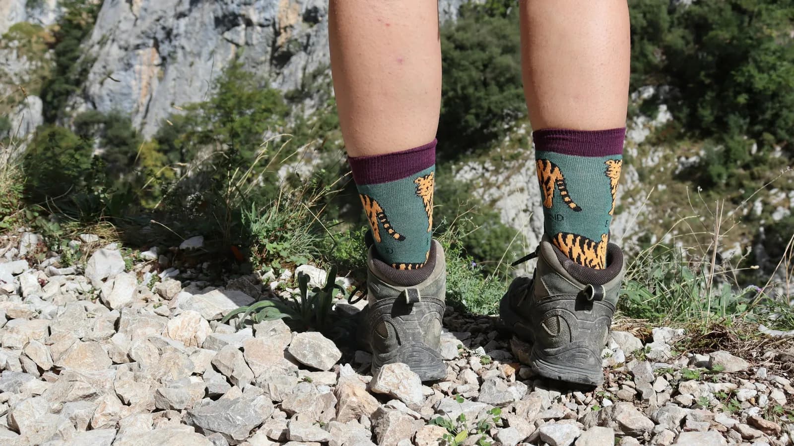 Hiking boots on a rocky mountain trail