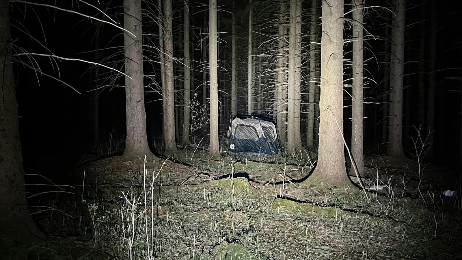 Tent lit from inside in the middle of a forest at night