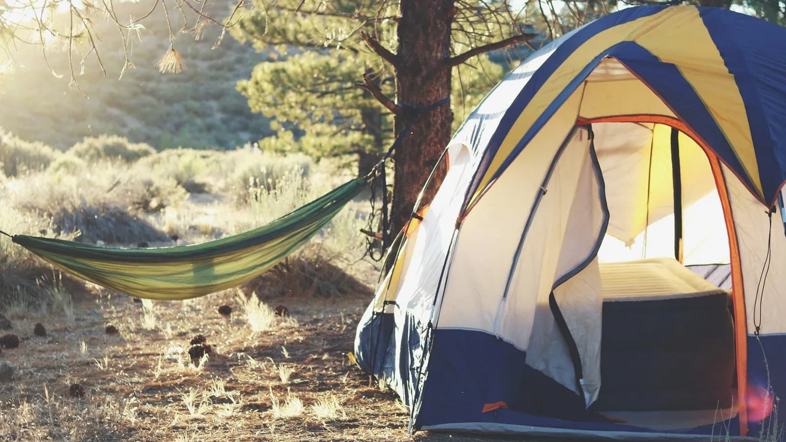 Dome tent and hammock at a forest campsite at golden hour