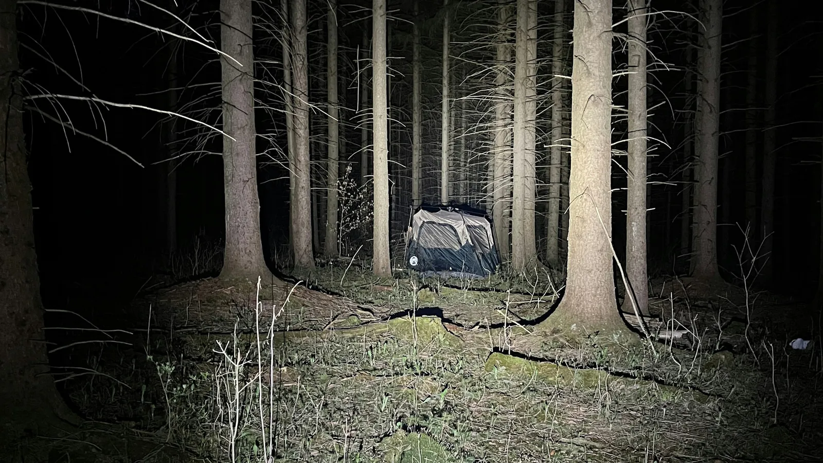 8 Best Projectors for Camping in 2026
