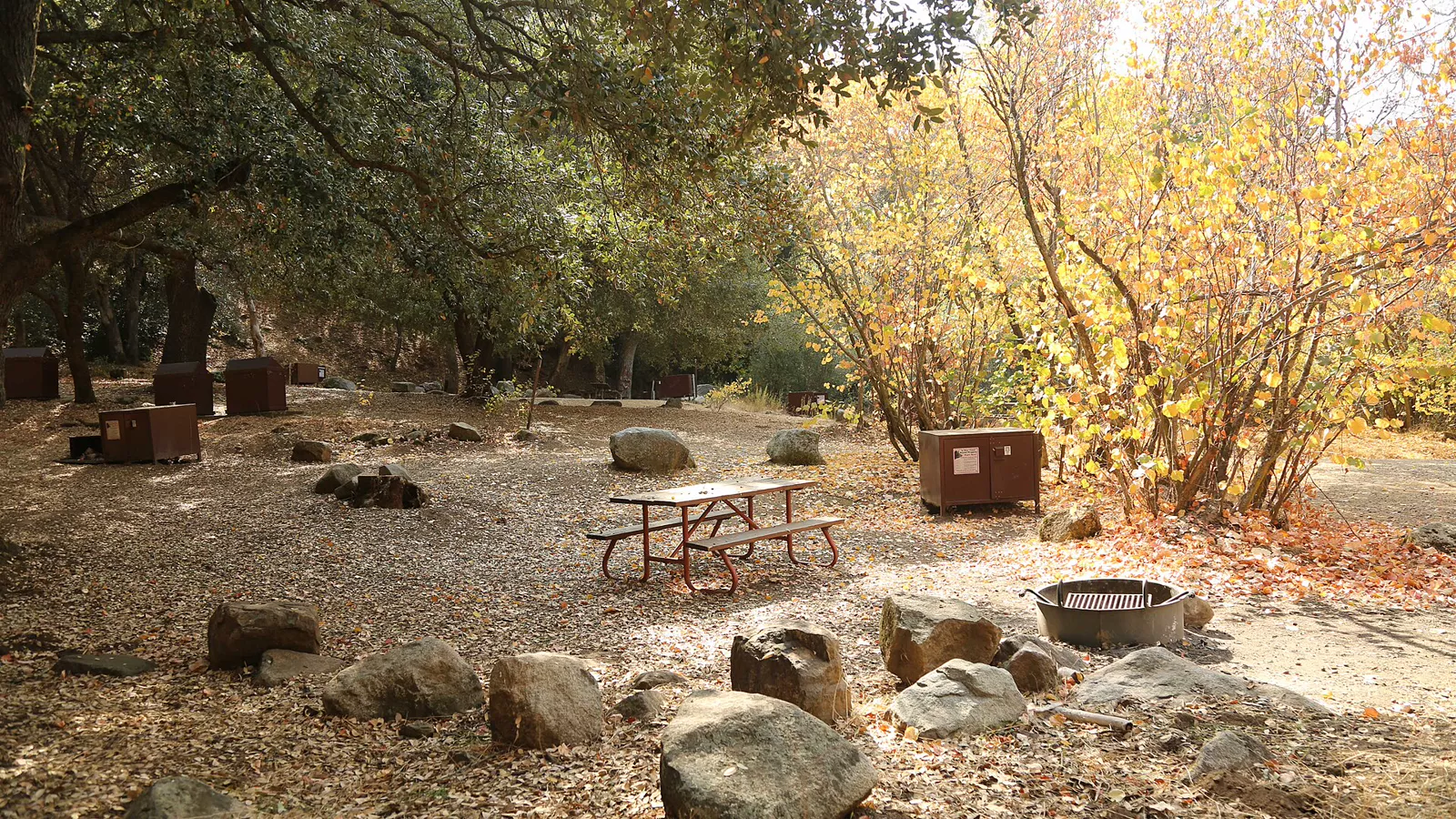 Developed campsite with picnic table, fire ring, and food-storage locker