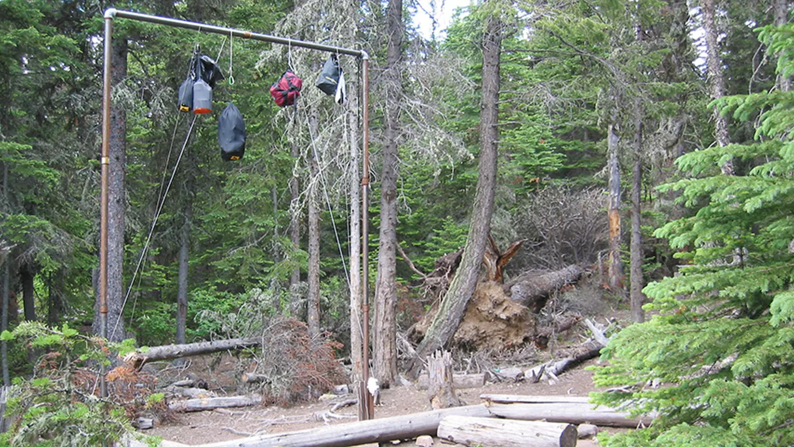 Backcountry food-storage pole